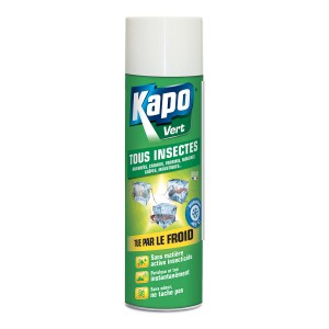 3099-tous-insecte-froid-kapo-vert-01